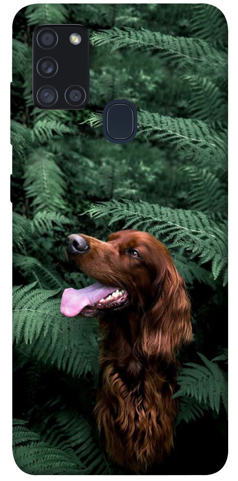 Чехол Собака в зелени для Galaxy A21s (2020)