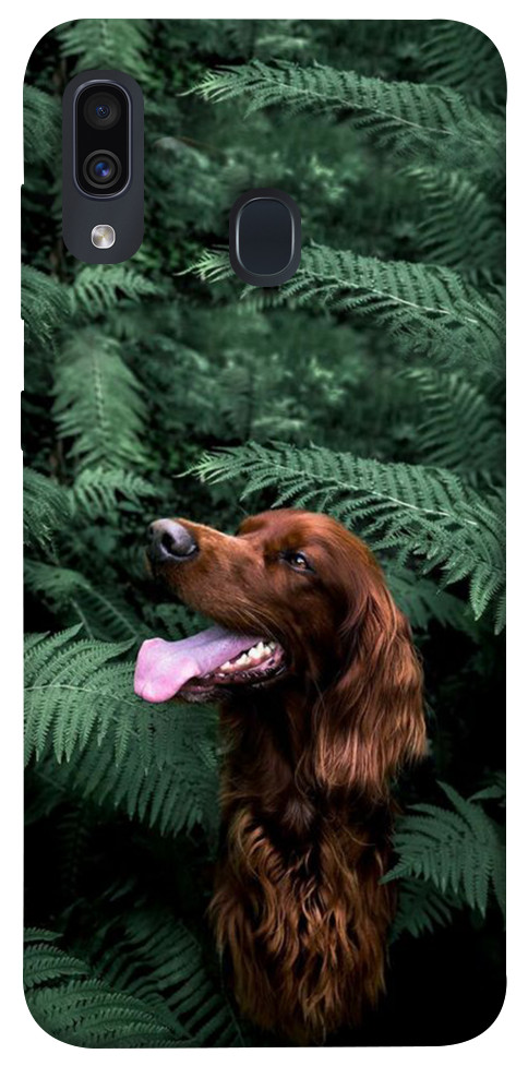 Чехол Собака в зелени для Galaxy A30 (2019)