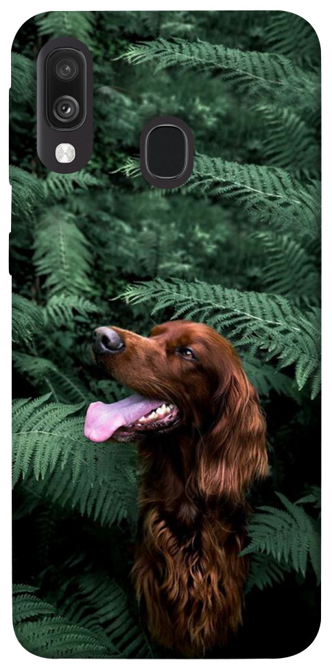 Чехол Собака в зелени для Galaxy A40 (2019)
