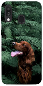 Чехол Собака в зелени для Galaxy A40 (2019)