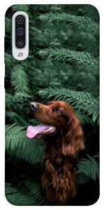 Чехол Собака в зелени для Galaxy A50 (2019)