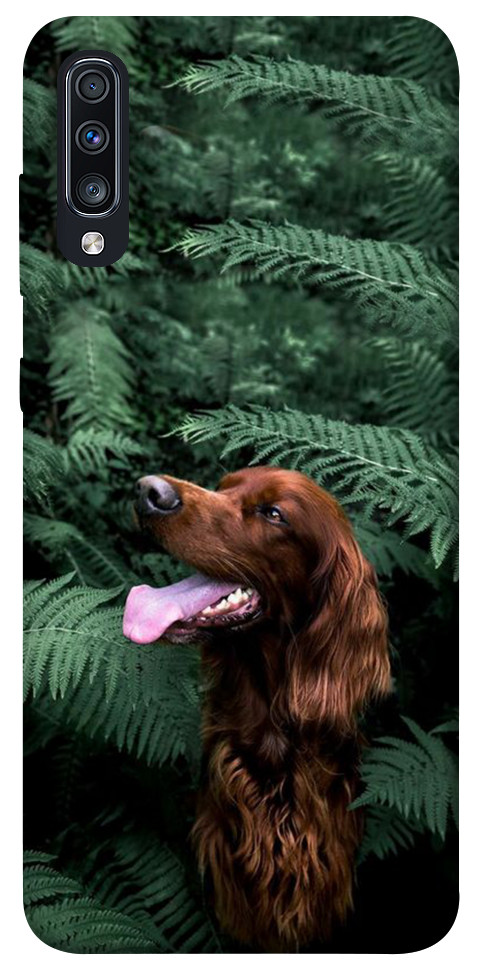 Чехол Собака в зелени для Galaxy A70 (2019)