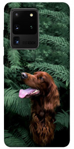 Чехол Собака в зелени для Galaxy S20 Ultra (2020)