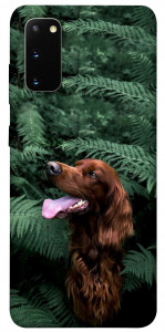 Чехол Собака в зелени для Galaxy S20 (2020)