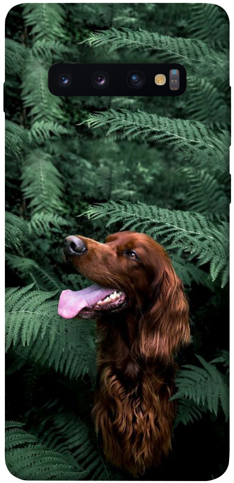 Чехол Собака в зелени для Galaxy S10 Plus (2019)