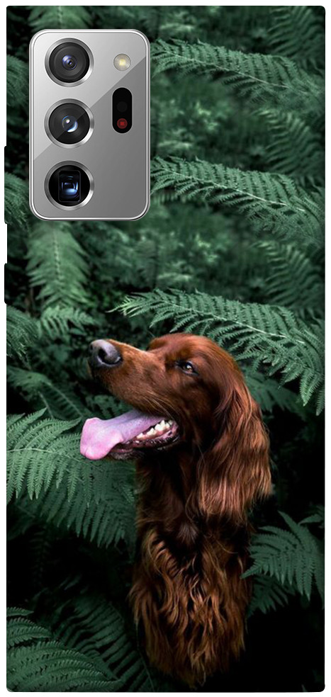 Чехол Собака в зелени для Galaxy Note 20 Ultra