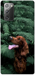 Чехол Собака в зелени для Galaxy Note 20