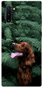Чехол Собака в зелени для Galaxy Note 10+ (2019)