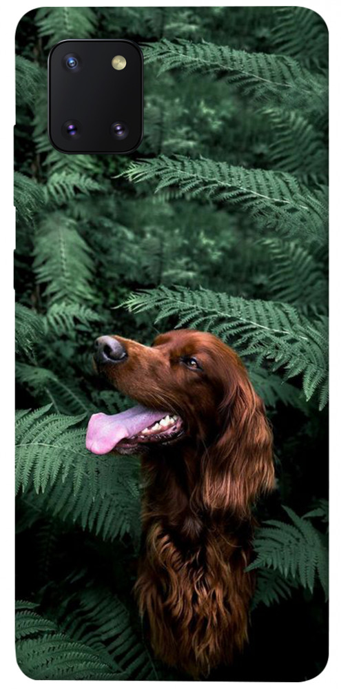 Чехол Собака в зелени для Galaxy Note 10 Lite (2020)