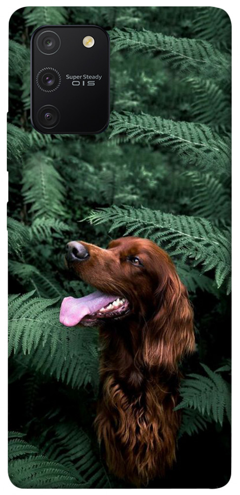 Чехол Собака в зелени для Galaxy S10 Lite (2020)