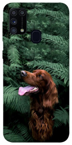Чохол Собака у зелені для Galaxy M31 (2020)