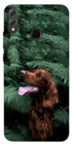 Чехол Собака в зелени для Huawei Honor 8X