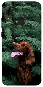 Чехол Собака в зелени для Huawei P Smart (2019)