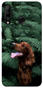 Чехол Собака в зелени для Huawei P30 Lite