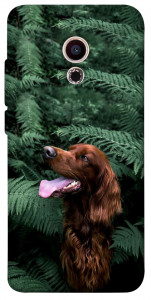 Чехол Собака в зелени для Meizu Pro 6