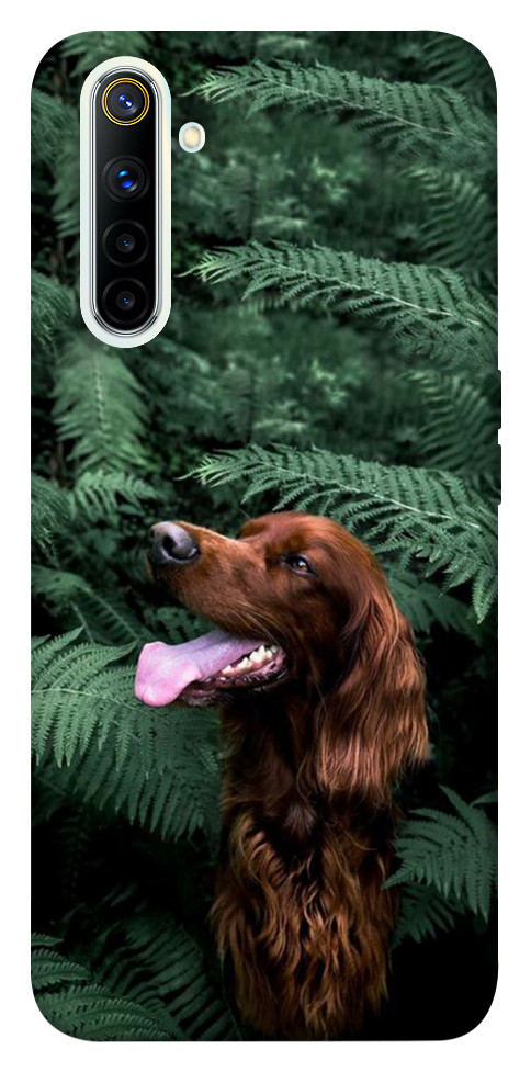 Чехол Собака в зелени для Realme 6