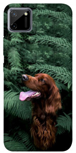 Чохол Собака у зелені для Realme C11