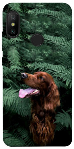 Чехол Собака в зелени для Xiaomi Mi A2 Lite