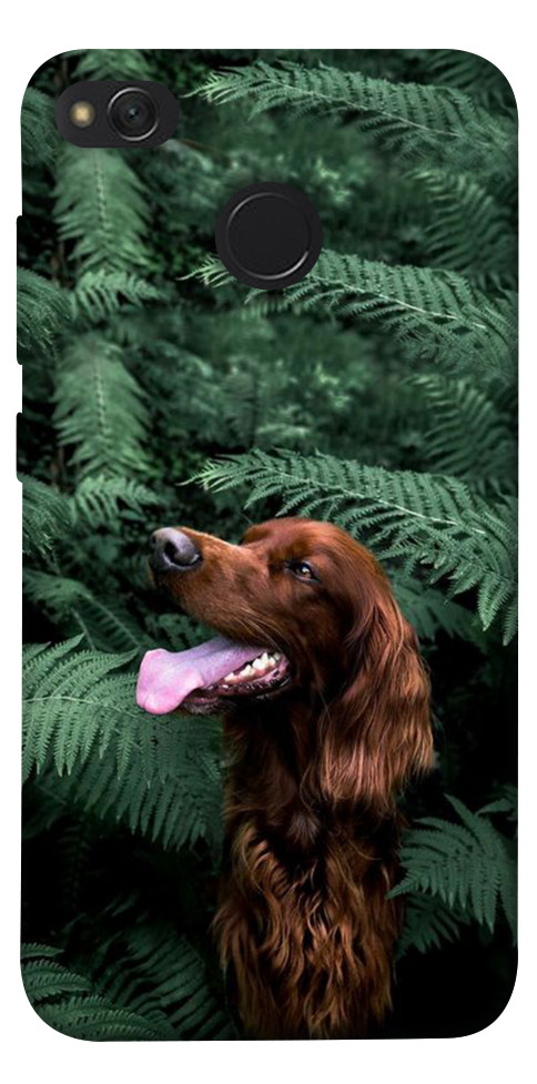 Чехол Собака в зелени для Xiaomi Redmi 4X