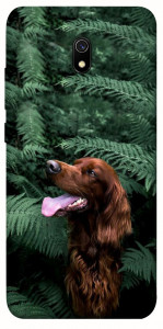 Чехол Собака в зелени для Xiaomi Redmi 8a