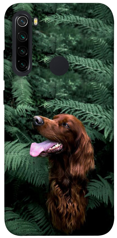 Чехол Собака в зелени для Xiaomi Redmi Note 8