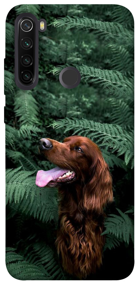 Чехол Собака в зелени для Xiaomi Redmi Note 8T