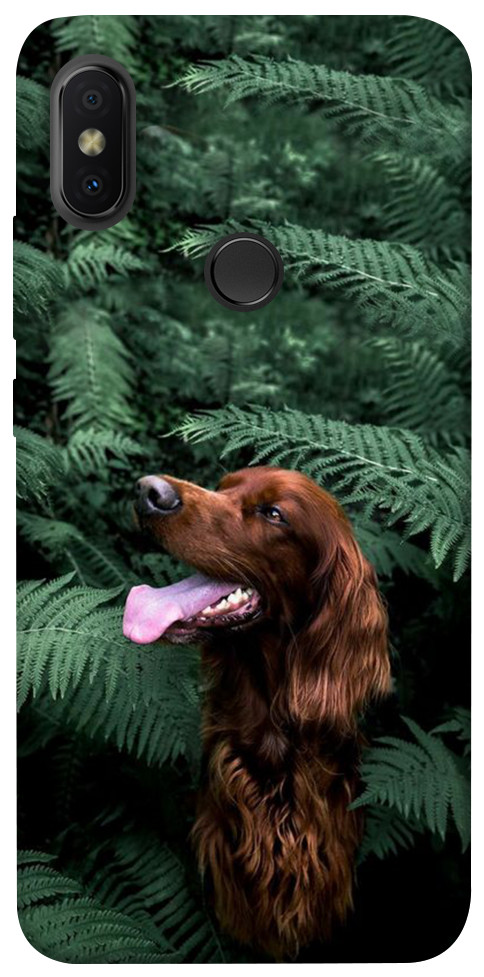 Чехол Собака в зелени для Xiaomi Redmi S2