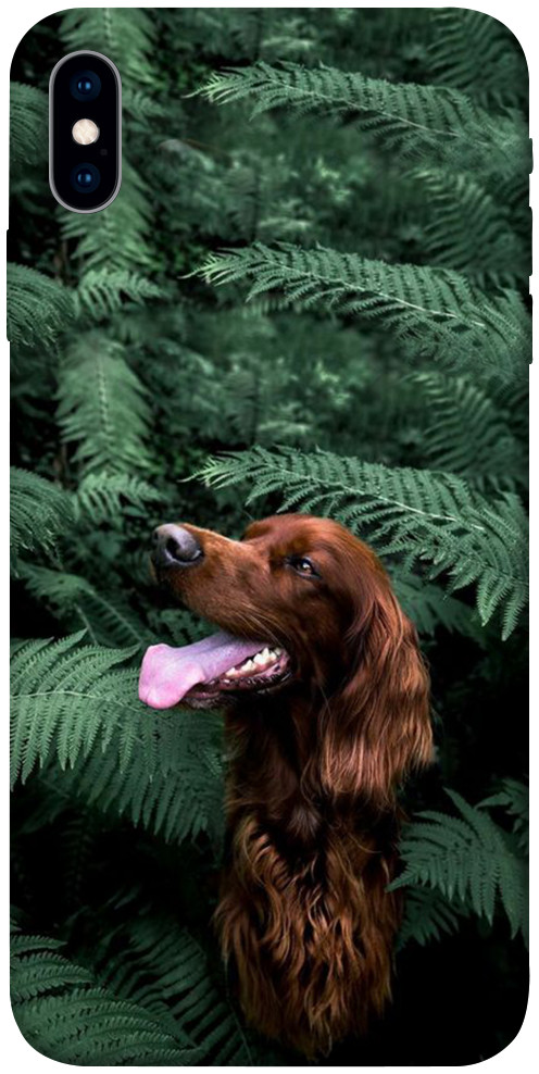 Чехол Собака в зелени для iPhone XS