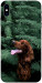Чехол Собака в зелени для iPhone XS