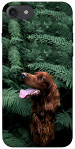 Чехол Собака в зелени для iPhone 8