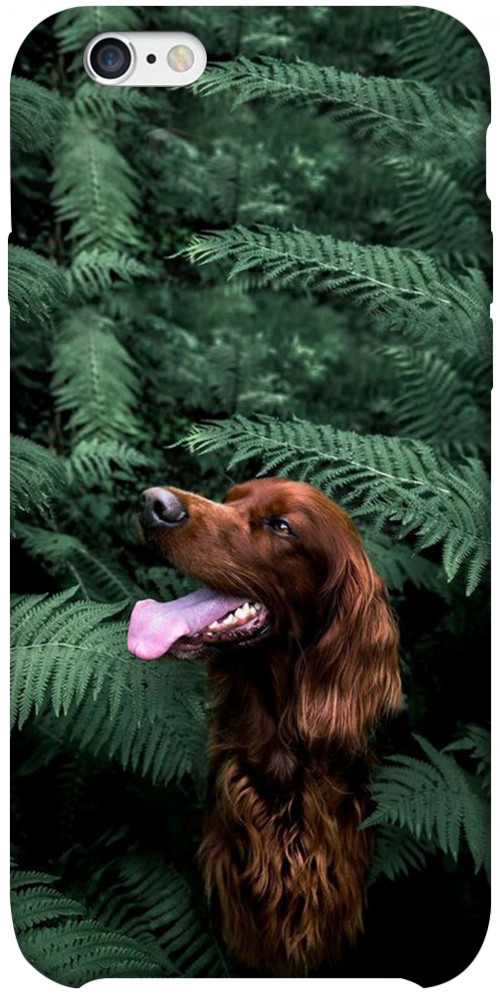 Чехол Собака в зелени для iPhone 6S Plus