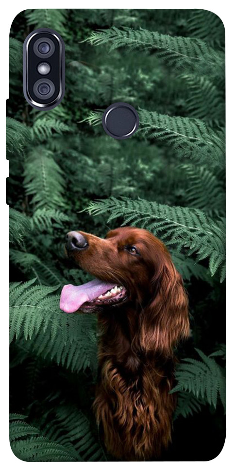 Чехол Собака в зелени для Xiaomi Redmi Note 5 (Dual Camera)
