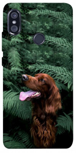Чехол Собака в зелени для Xiaomi Redmi Note 5 (Dual Camera)
