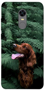 Чехол Собака в зелени для Xiaomi Redmi Note 5 (Single Camera)