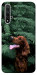 Чехол Собака в зелени для Huawei Nova 5T