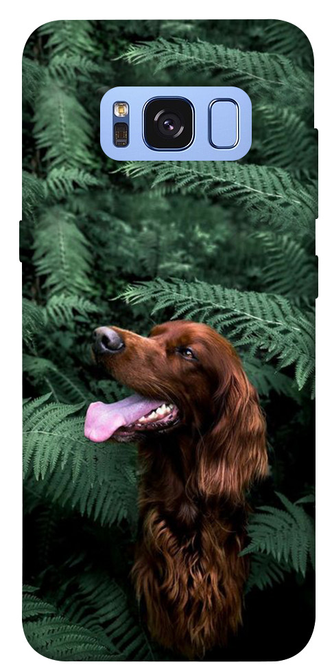 Чехол Собака в зелени для Galaxy S8 (G950)