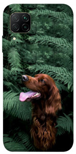 Чехол Собака в зелени для Huawei P40 Lite
