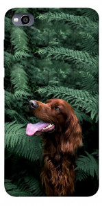 Чехол Собака в зелени для Xiaomi Redmi 4A