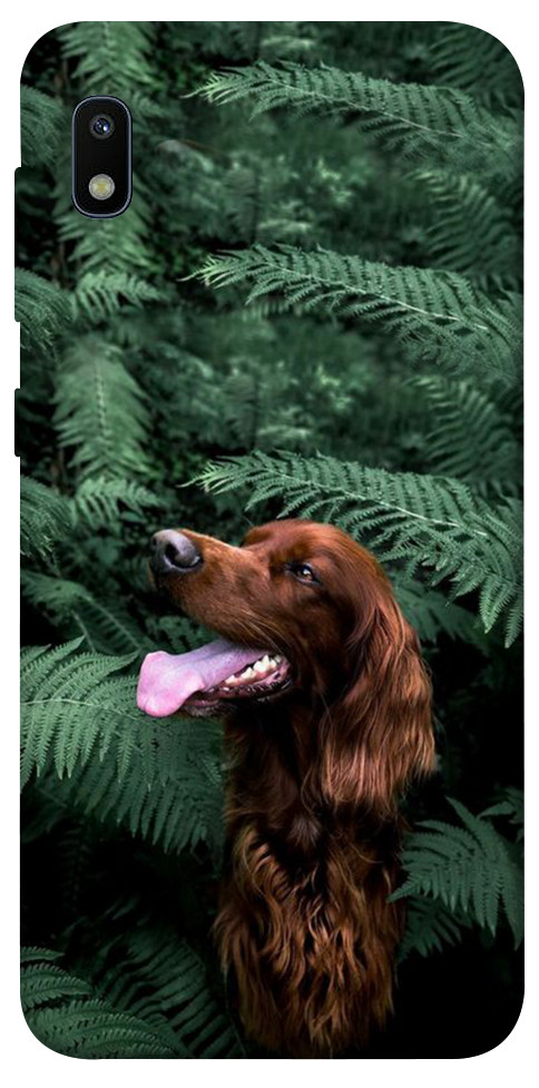 Чехол Собака в зелени для Galaxy A10 (A105F)