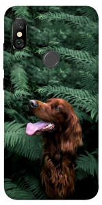 Чехол Собака в зелени для Xiaomi Redmi Note 6 Pro