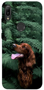 Чехол Собака в зелени для Huawei Y6 (2019)