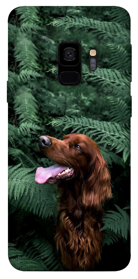 Чехол Собака в зелени для Galaxy S9