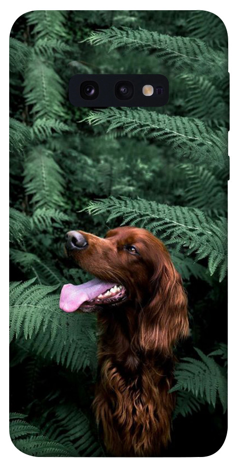 Чехол Собака в зелени для Galaxy S10e