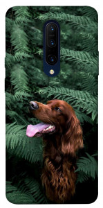 Чехол Собака в зелени для OnePlus 7 Pro