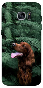 Чехол Собака в зелени для Galaxy S7 Edge