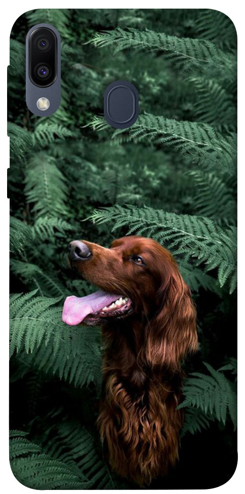 Чехол Собака в зелени для Galaxy M20