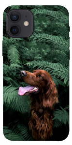 Чехол Собака в зелени для iPhone 12