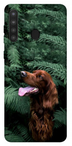 Чехол Собака в зелени для Galaxy A21
