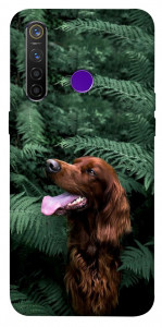 Чехол Собака в зелени для Realme 5 Pro