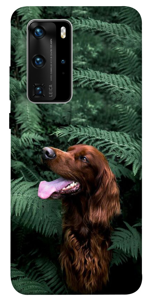 Чехол Собака в зелени для Huawei P40 Pro